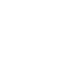 papagaio